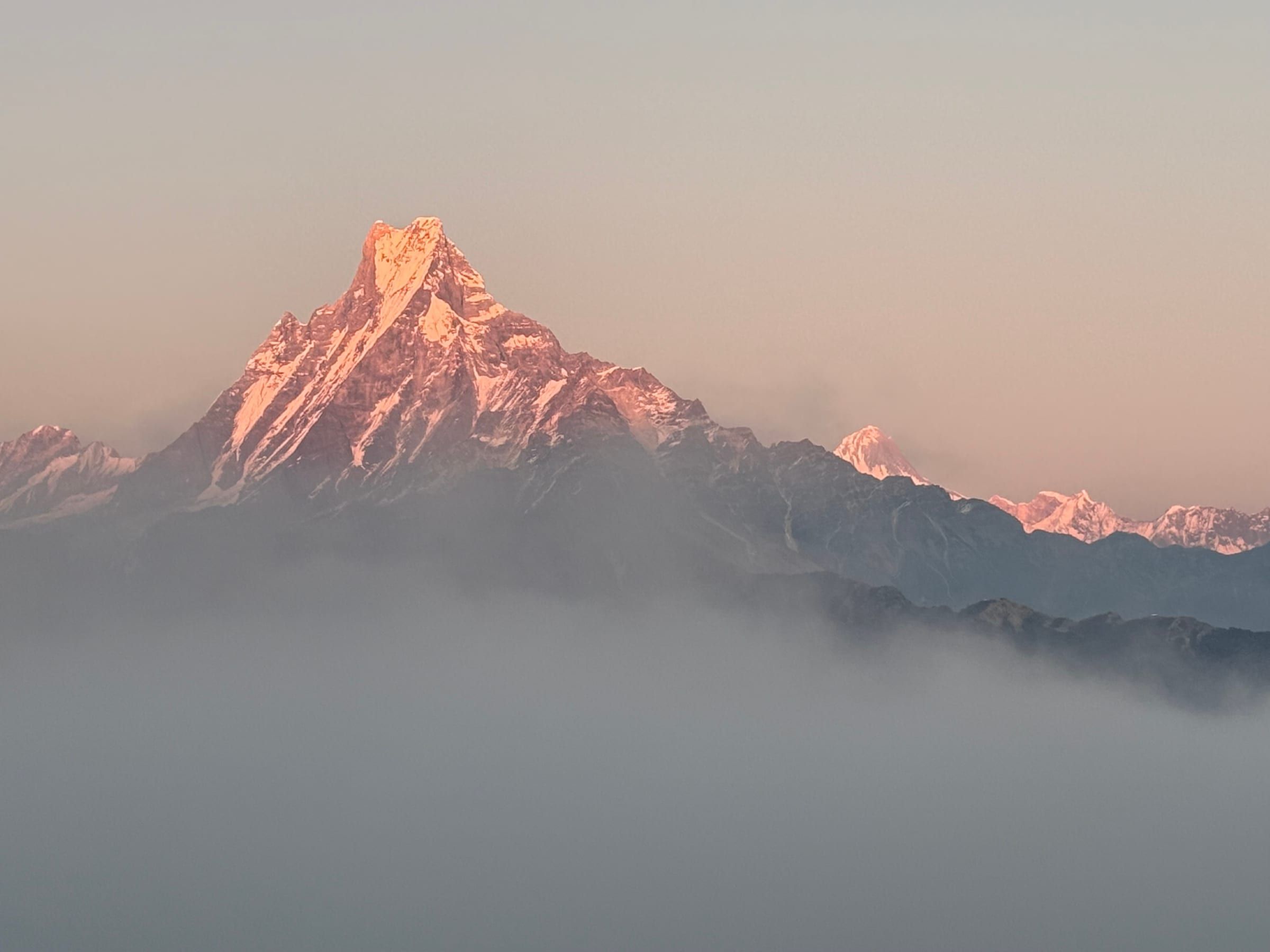 Sunrise alpenglow lighting up a snow peak, likely Machapuchare, glowing pink and gold above the clouds