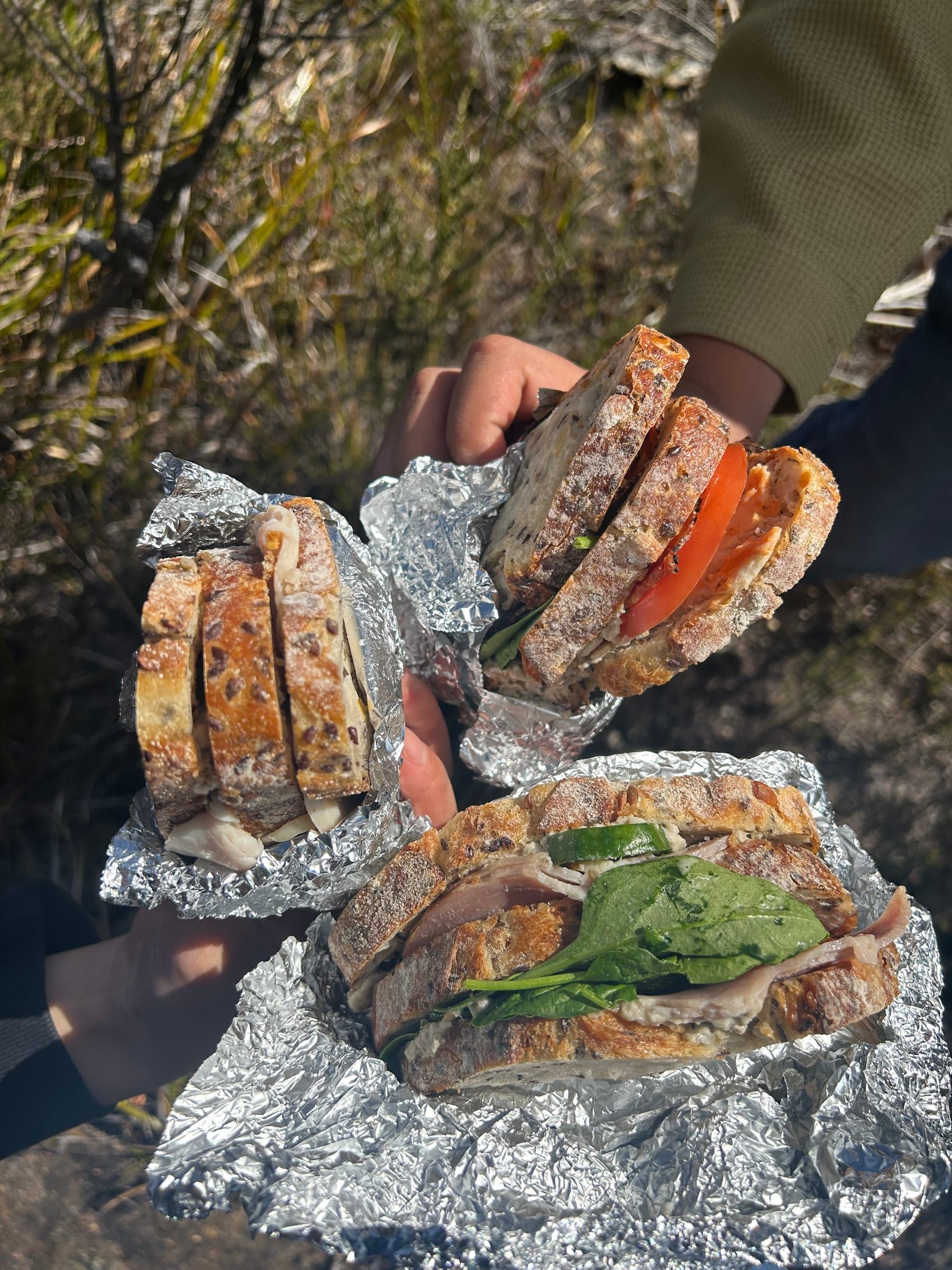 Three foil-wrapped sandwiches, sourdough with tomato, ham, and spinach, held out in the sun