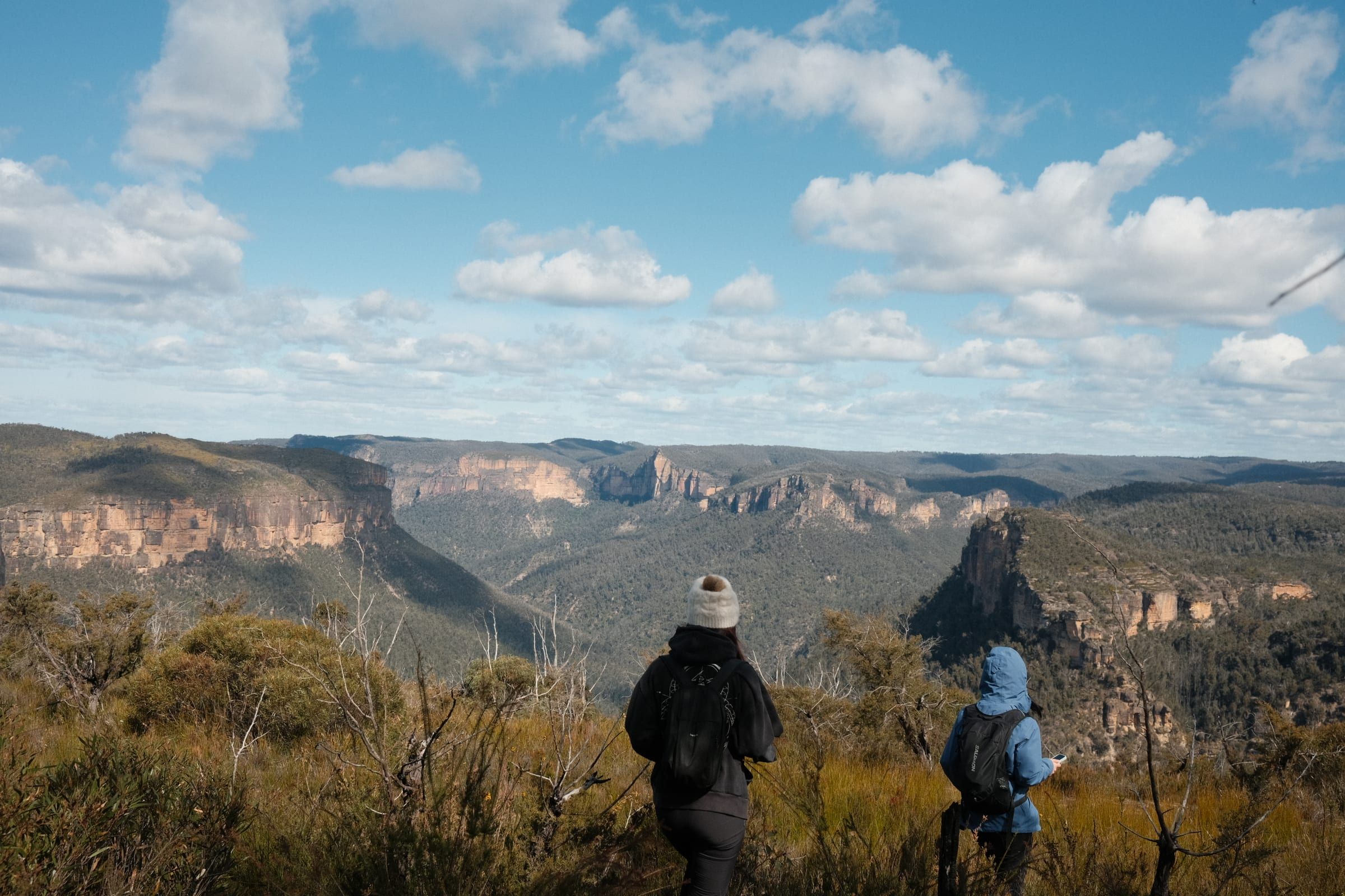 Two hikers looking out over a deep green canyon lined with sandstone cliffs