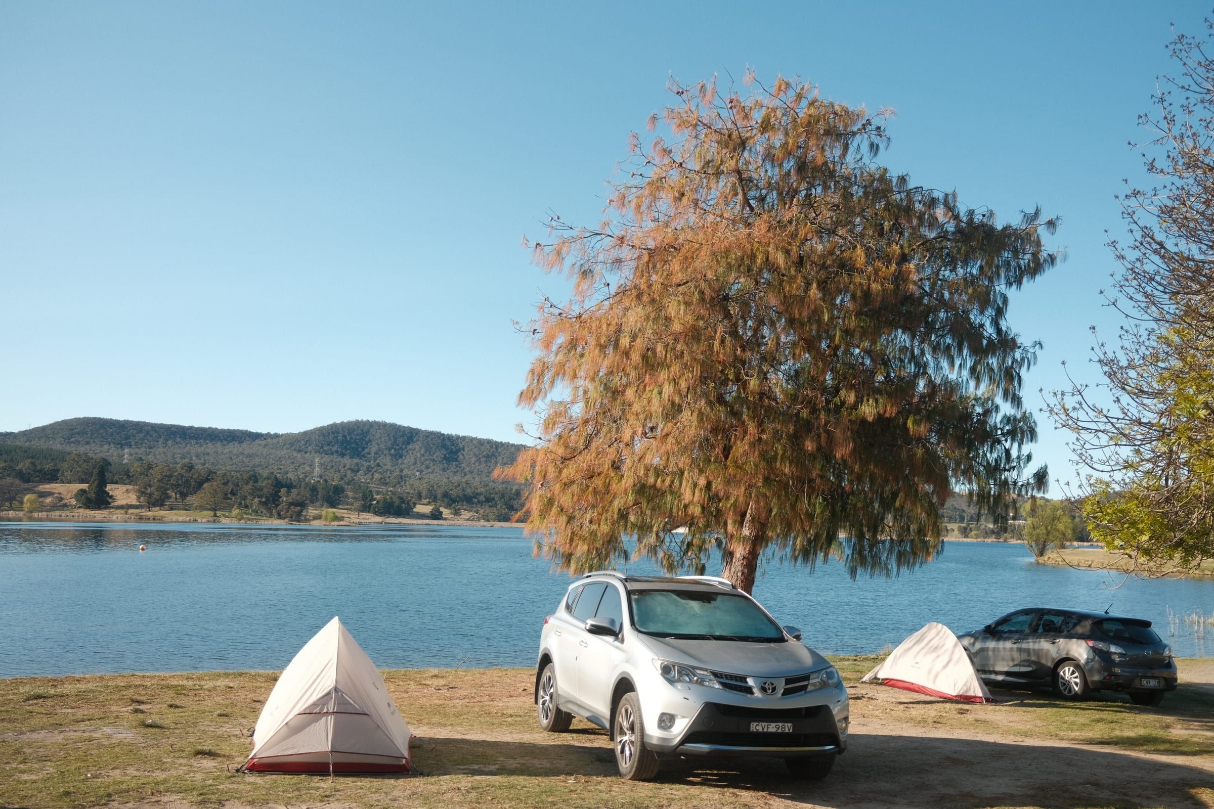 A tent pitched under a large tree beside a calm lake, golden late-afternoon light