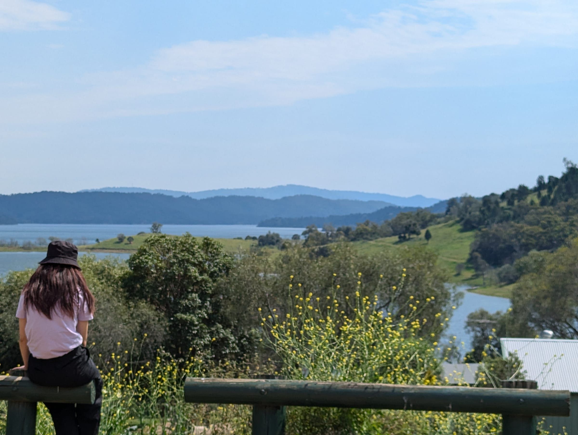 A person sitting on a wooden fence rail, looking out over a wide lake dotted with small islands, yellow wildflowers in the foreground