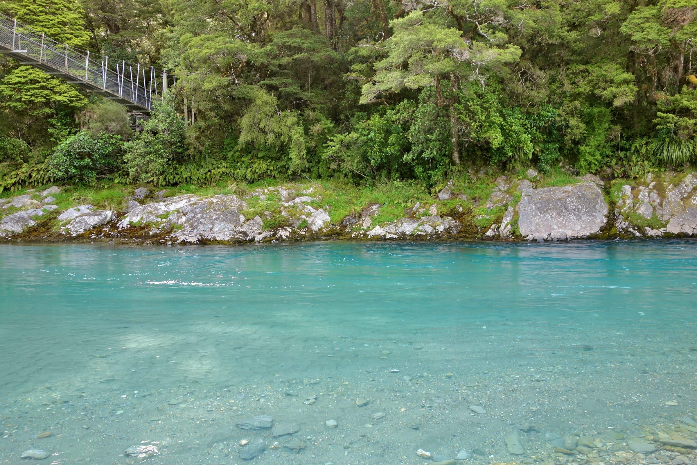 A vivid turquoise river beneath a swing bridge, native forest and moss-covered boulders lining the bank