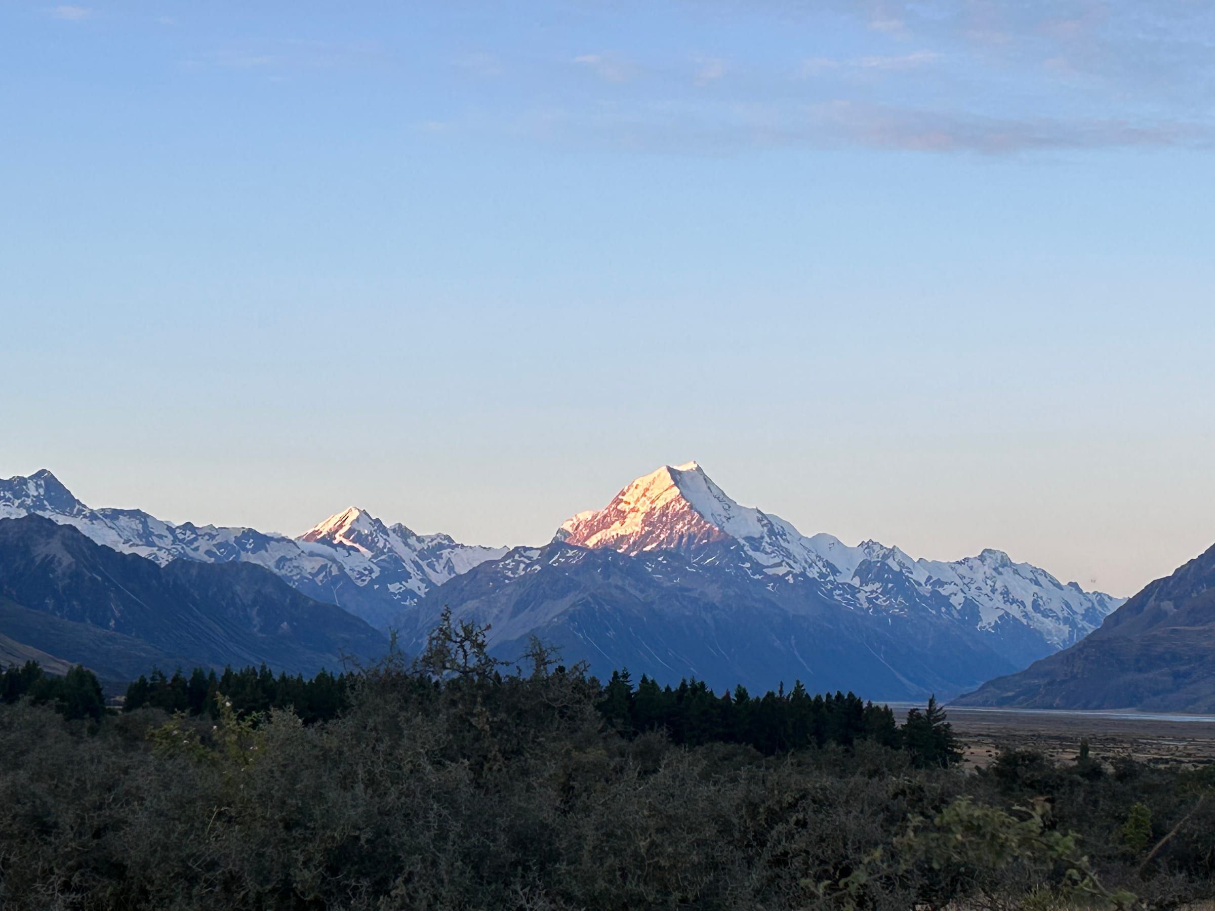 Aoraki/Mt Cook and neighbouring peaks lit rose-gold at dusk, silhouetted trees in the foreground