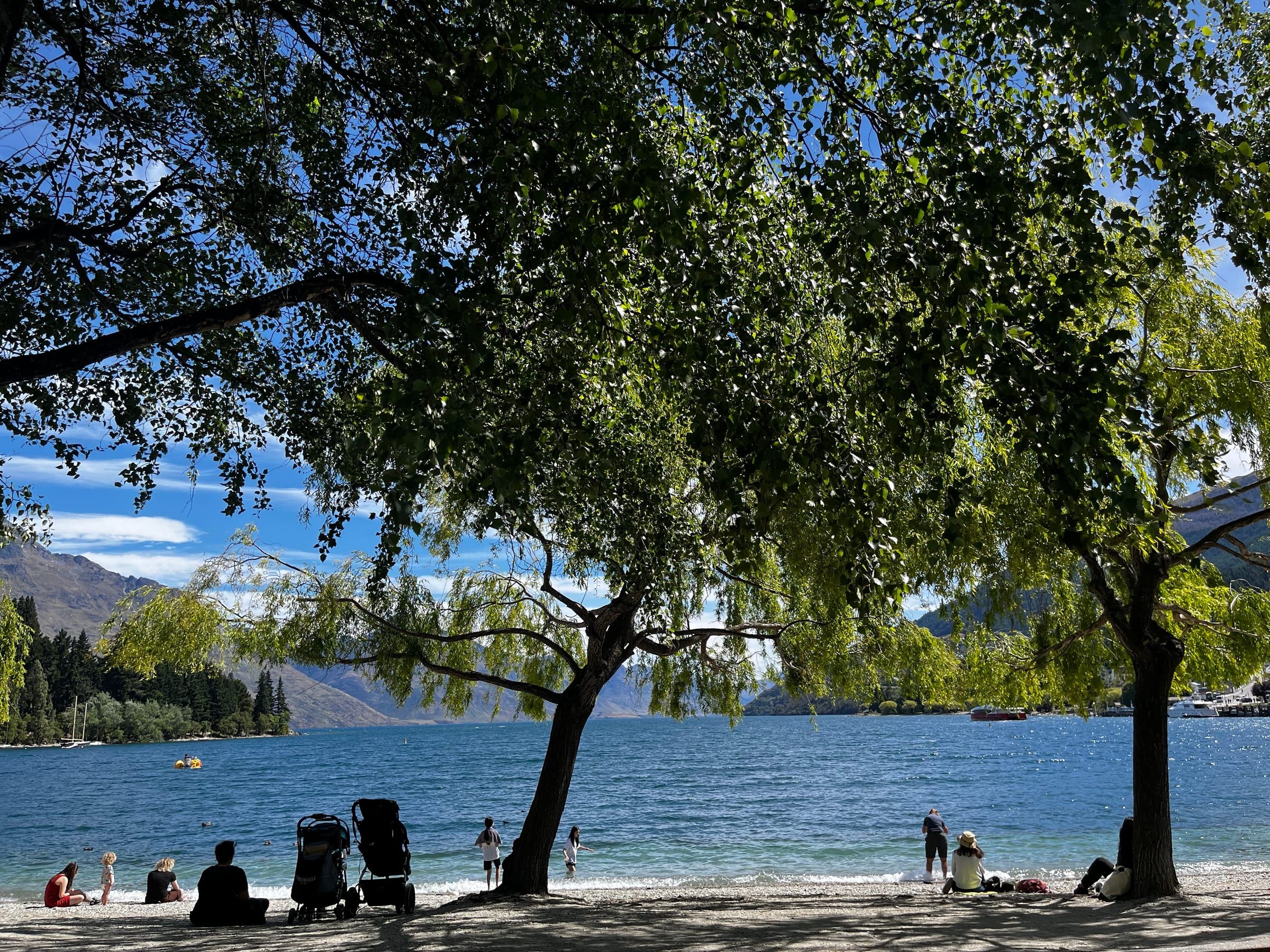 A lakeside beach in Queenstown shaded by a large willow tree, people relaxing on the shore, mountains across the water