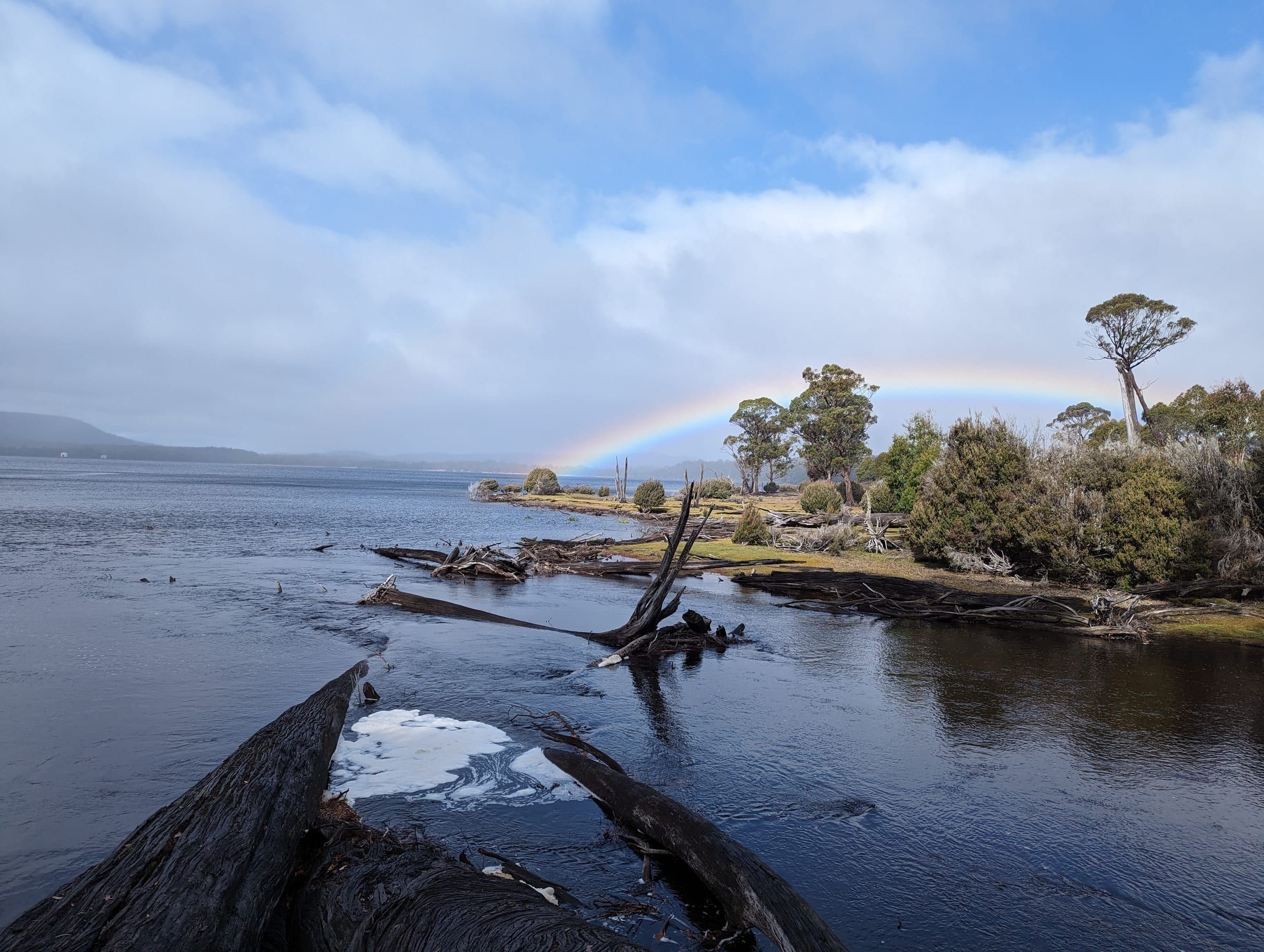 A rainbow arcing over a still lake, driftwood scattered along the shoreline