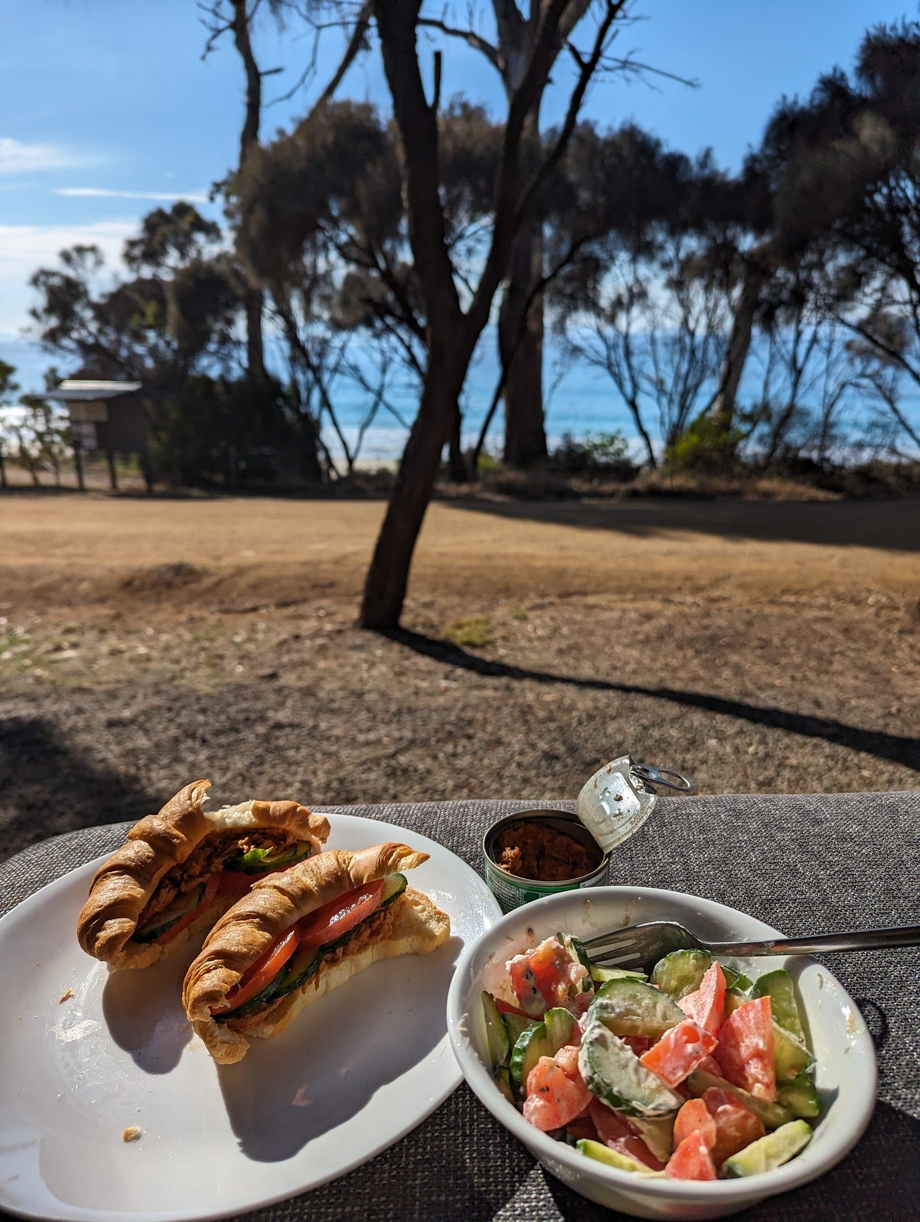A tuna, cucumber, and tomato croissant sandwich with a small salad, ocean visible through trees behind
